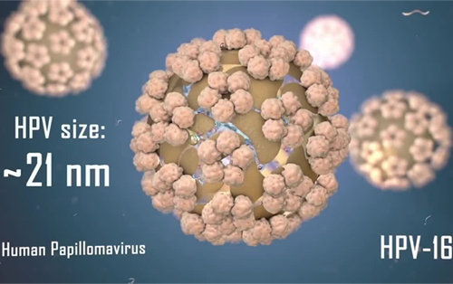 Xét nghiệm định tuyp HPV