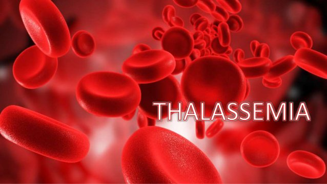Chi phí xét nghiệm thalassemia chỉ từ 2-5 triệu đồng