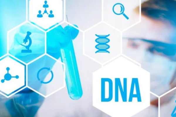 Xét nghiệm ADN thai nhi để xác định chính xác quan hệ huyết thống