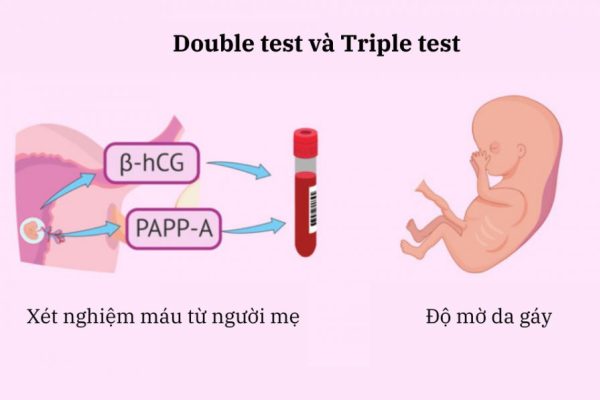 Double Test và Triple Test