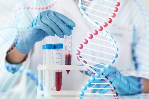 Xét nghiệm ADN của thai nhi qua máu mẹ