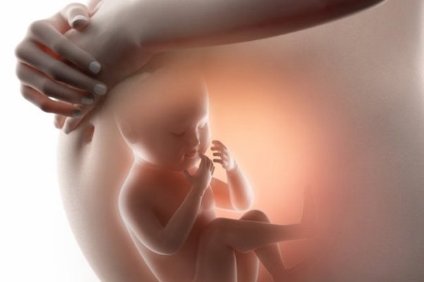  Sàng lọc trước sinh qua xét nghiệm ADN thai nhi