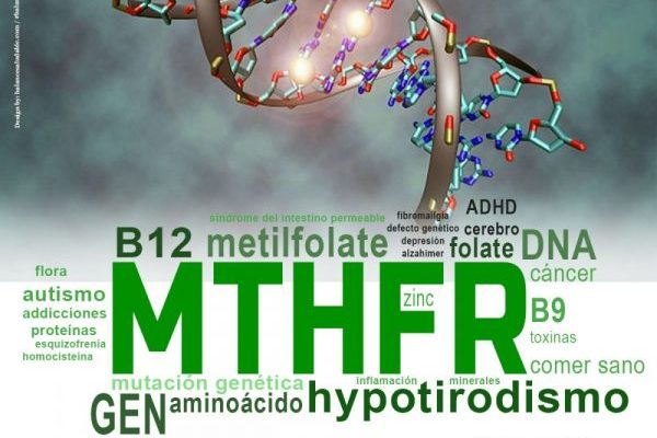 Đột biến gen MTHFR
