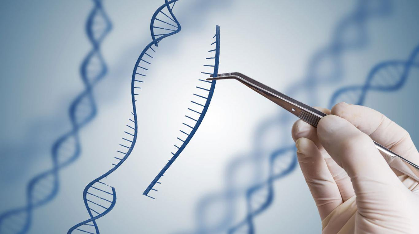 Xét nghiệm ADN bằng móng tay có chính xác không